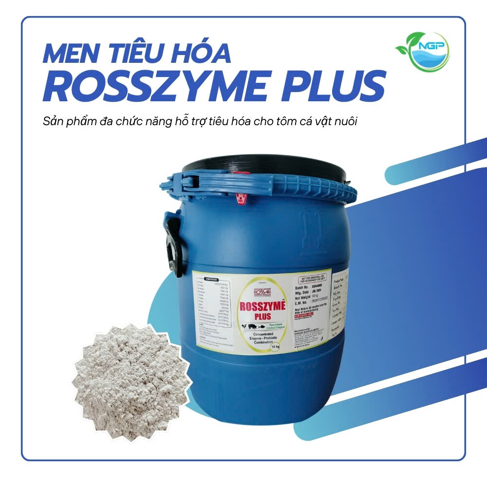 Men tiêu hóa Rosszyme Plus